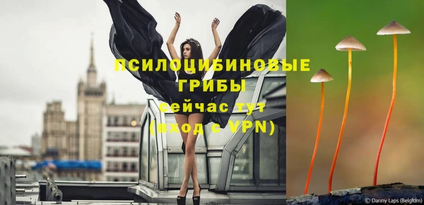 марки nbome Вяземский