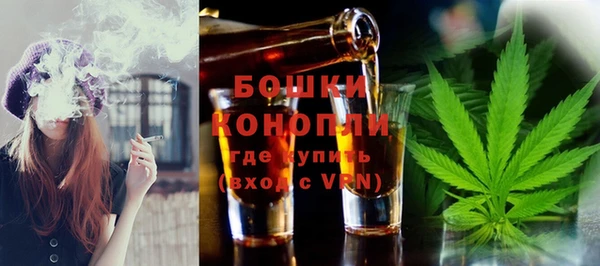 ГАЛЛЮЦИНОГЕННЫЕ ГРИБЫ Вязьма