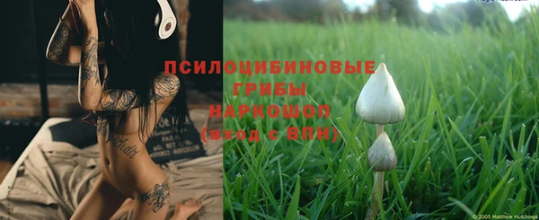 амф Вязники