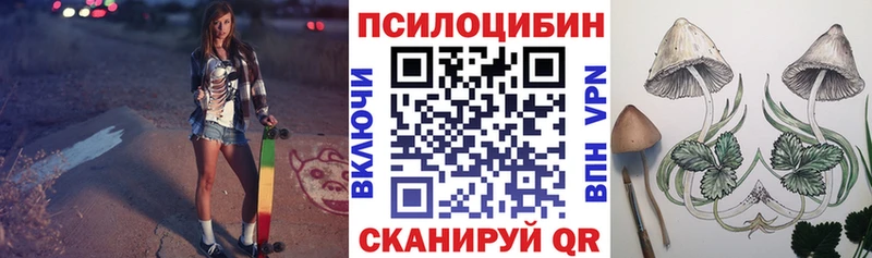 Псилоцибиновые грибы Psilocybine cubensis  Дедовск 